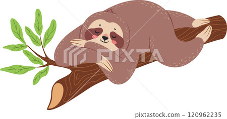 Charming illustration presents a relaxed sloth sleeping on a tree branch, embracing the tranquility of its natural habitat, with lush green leaves adding a touch of vibrancy to the scene 120962235