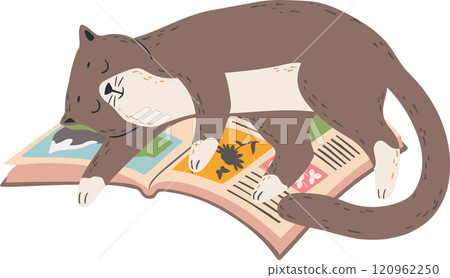Adorable brown and white cat sleeping on top of an open book, resting after a long reading session, colorful illustrations visible on book pages 120962250