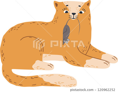 Cute ginger cat lying down holding a gray mouse in its mouth, simple cartoon illustration on white background, concept of pet, hunting, predator and prey 120962252