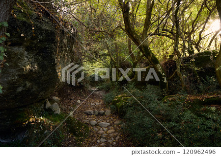 Meteora hiking trail in the forest, Greece Meteora hiking trail in the forest, Greece 120962496