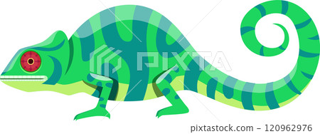 Green and turquoise chameleon walking slowly with its characteristic curled tail, displaying vibrant colors and unique eyes, embodies the beauty of exotic wildlife and nature 120962976