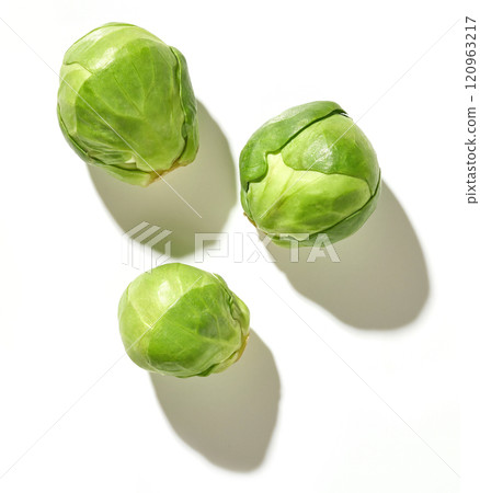 fresh green brussels sprouts 120963217