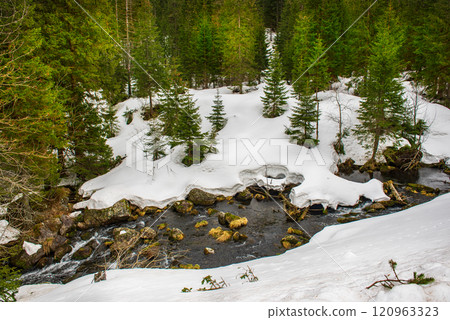 Mountain fir forest and the river near Morskie Oko Lake in Poland at Winter. Tatras mountains Mountain fir forest and the river near Morskie Oko Lake in Poland at Winter. Tatras mountains 120963323