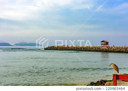 Breakwater and canal Breakwater and canal 120963464