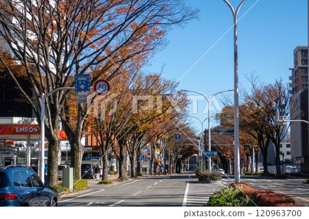 群馬縣前橋市政府街 群馬縣前橋市政府街 120963700