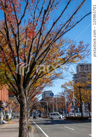 群馬縣前橋市政府街 120963701