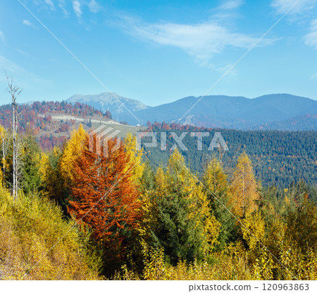 Morning autumn Carpathians landscape. 120963863