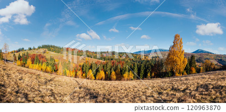 Autumn Carpathian village, Ukraine. 120963870