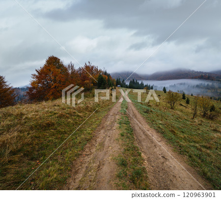 Hazy and overcast early morning in autumn Carpathian Mountains and dirty countryside path, Ukraine. Hazy and overcast early morning in autumn Carpathian Mountains and dirty countryside path, Ukraine. 120963901