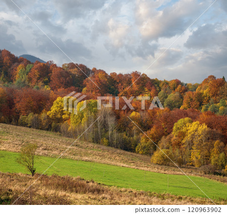 Cloudy morning autumn mountain scene. Peaceful picturesque traveling, seasonal, nature and countryside beauty concept scene. 120963902