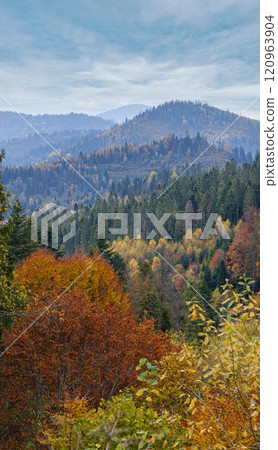 Morning foggy clouds in autumn mountain countryside. Ukraine, Carpathian Mountains, Transcarpathia. Morning foggy clouds in autumn mountain countryside. Ukraine, Carpathian Mountains, Transcarpathia. 120963904