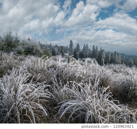 Winter coming. Last days of autumn, morning in mountain countryside peaceful picturesque hoarfrosted scene. Ukraine, Carpathian mountains. Winter coming. Last days of autumn, morning in mountain countryside peaceful picturesque hoarfrosted scene. Ukraine, Carpathian mountains. 120963921