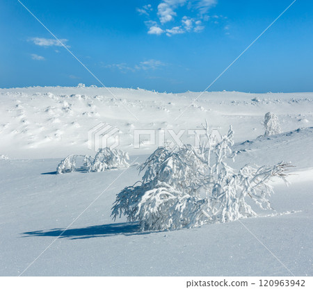 Winter mountain snowy landscape 120963942