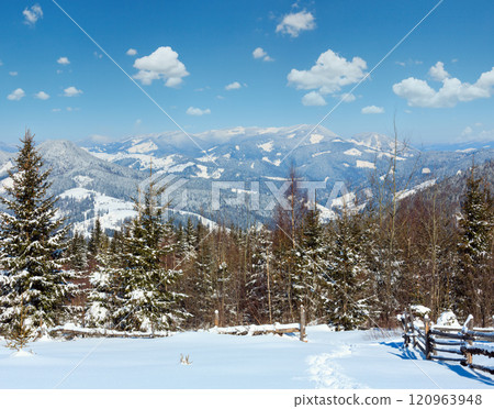 Winter morning Carpathian mountains, Ukraine 120963948