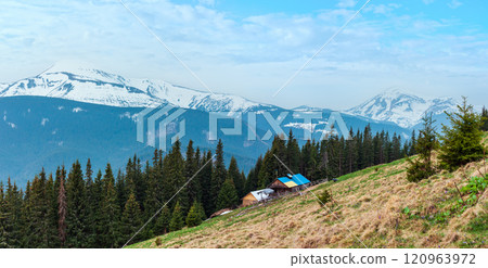 Spring Carpathian mountains 120963972