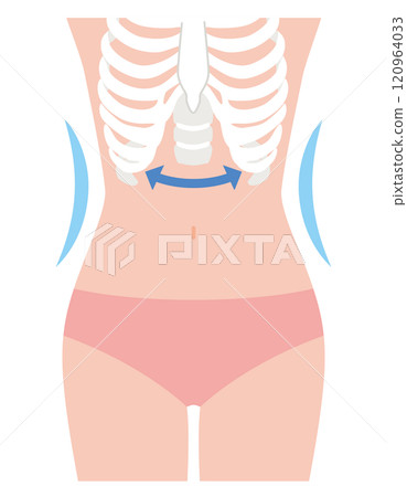 Closed ribs Waist Closed ribs Waist 120964033