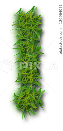 Green Grass Alphabet Exclamation Mark Green Grass Alphabet Exclamation Mark 120964051