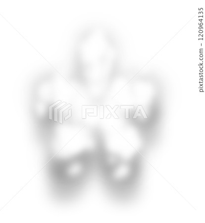 White Snow Alphabet Asteriks Star Mark 120964135