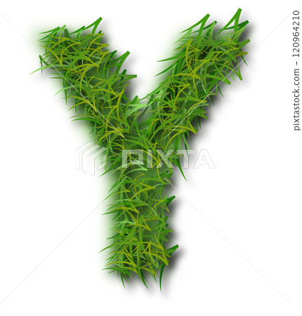 Green Grass Alphabet Letter Y Green Grass Alphabet Letter Y 120964210
