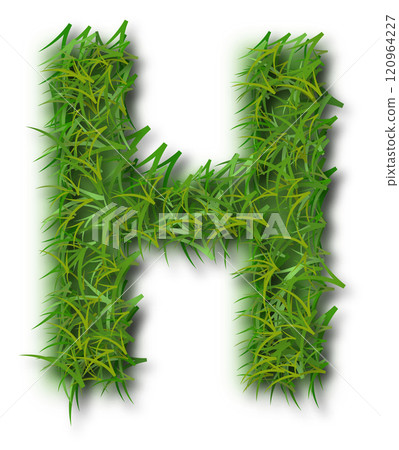Green Grass Alphabet Letter H 120964227