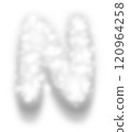 White Snow Alphabet Letter N 120964258