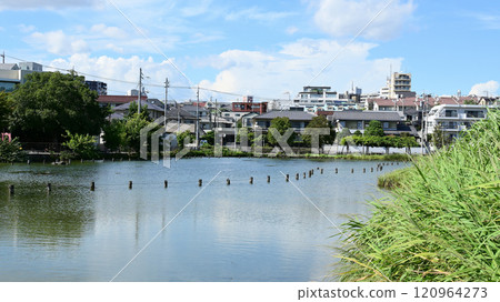 東京都大田區小池公園 東京都大田區小池公園 120964273