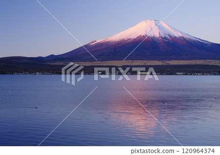從山中湖岸邊看到的黎明富士山 從山中湖岸邊看到的黎明富士山 120964374