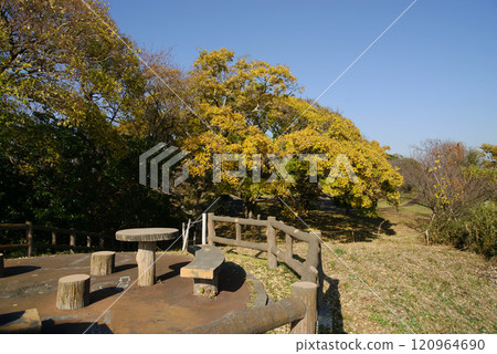 逗子市大崎公園 逗子市大崎公園 120964690