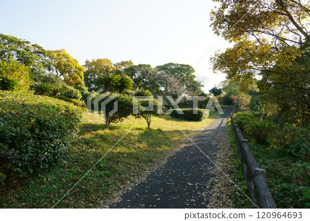 逗子市大崎公園 120964693