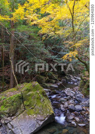 Autumn in Kuragari Valley (Okazaki City, Aichi Prefecture) Autumn in Kuragari Valley (Okazaki City, Aichi Prefecture) 120964880