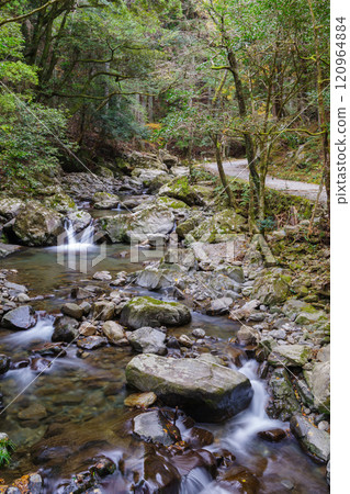 倉裡溪谷溪流（愛知縣岡崎市） 120964884