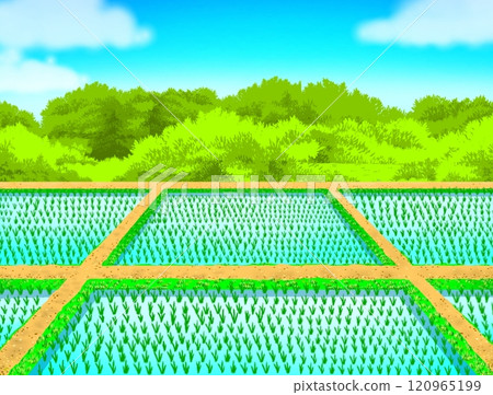 Rural landscape 120965199