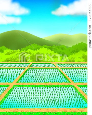 Rural landscape and blue sky 120965200