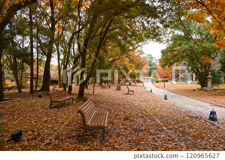 【山口縣山口市】深秋的龜山公園 【山口縣山口市】深秋的龜山公園 120965627