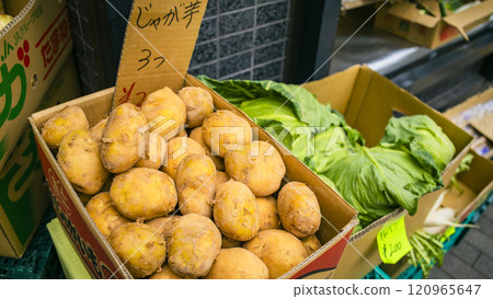 蔬果商：紙箱裡的馬鈴薯和高麗菜 120965647