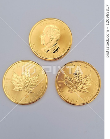 3個楓葉金幣 120965817