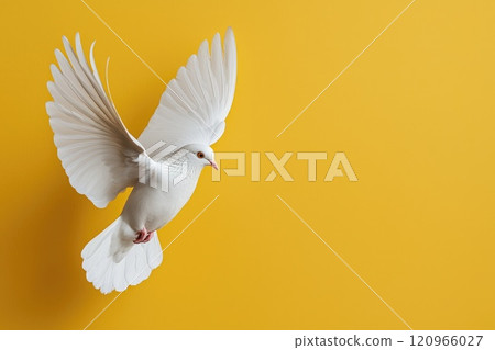 Peaceful celebration: a banner for World Peace Day, emphasizing unity, harmony, collective aspiration for global understanding, promoting a culture of peace and cooperation among nations 120966027