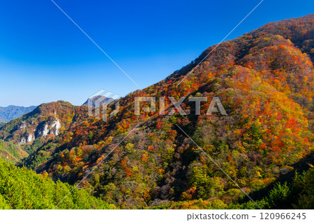 Autumn foliage at the foot of Mt. Arafune, which straddles Shimonita Town, Kanra District, Gunma Prefecture and Saku City, Nagano Prefecture 120966245