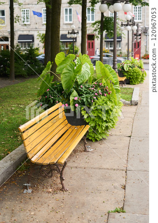 A bench in Quebec City, Canada 120967053
