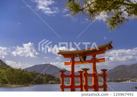 [Great Torii Gate, Miyajima, Hiroshima] 120967491