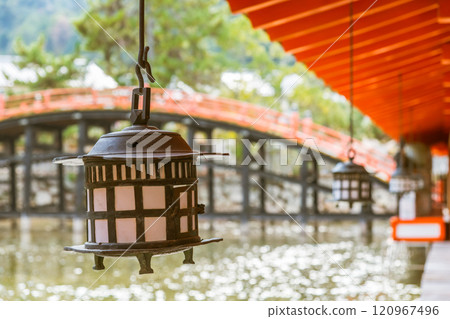 [Hiroshima Miyajima: Hanging lanterns and Soribashi Bridge at Itsukushima Shrine] 120967496