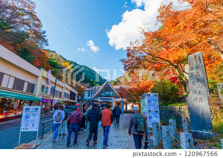 Autumn leaves on Mount Takao: The cable car station in front of Kiyotaki Station is bustling from early morning Autumn leaves on Mount Takao: The cable car station in front of Kiyotaki Station is bustling from early morning 120967566