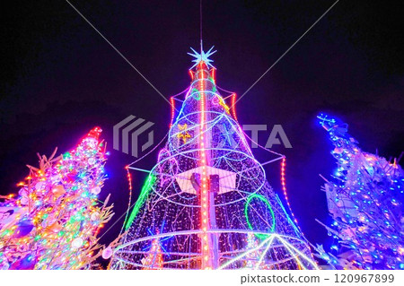 國立備北山公園的冬季彩燈 國立備北山公園的冬季彩燈 120967899