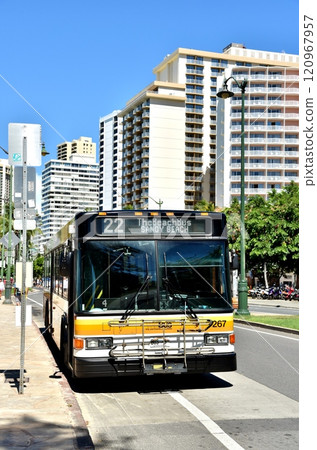 Holidays in Hawaii 120967957