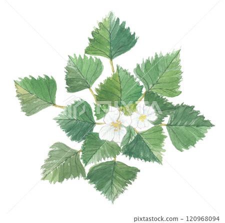 Watercolor diamonds 120968094