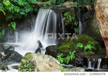 Waterfall in the Brisbane Botanic Gardens 120968376