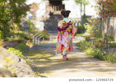 Shichi-Go-San 女孩的後視圖 120968729