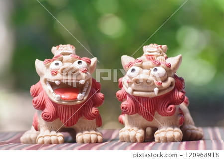 Shisa 放置在綠色背景前 Shisa 放置在綠色背景前 120968918