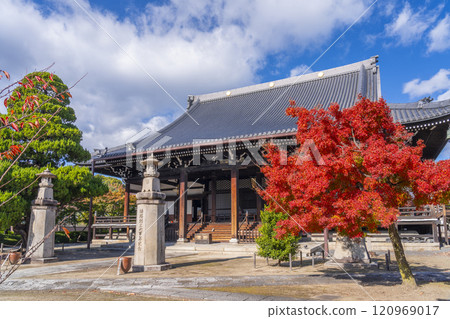 Autumn in Kyoto: Myokenji Temple (Myokenji) - The main hall surrounded by autumn leaves 120969017