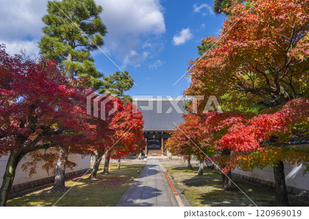 Autumn in Kyoto: Myokenji Temple (Myokenji) - The approach to the main hall is enveloped in autumn leaves 120969019